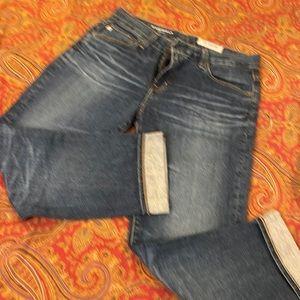 Adriano Goldschmied Ex-Boyfriend Slouchy Slim Fit Jeans NWT